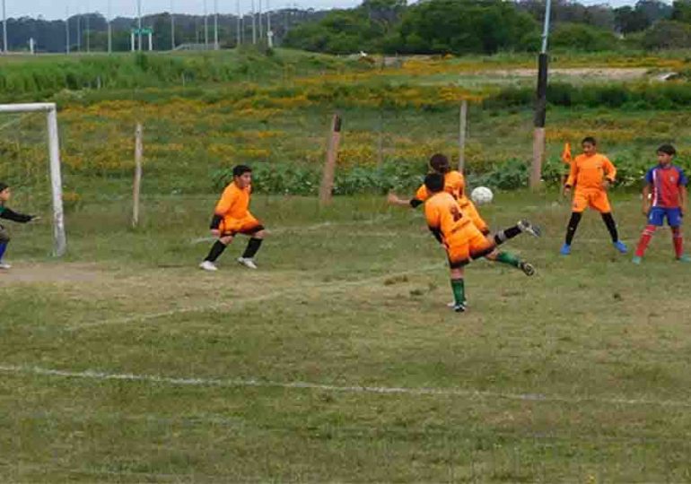 12 clubes se presentaron para contar con canchas de césped sintético