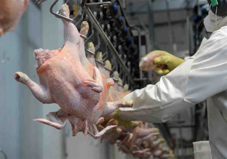 Unión de Vendedores de Carne preocupada por suba de precios de pollos ante suspensión de importación