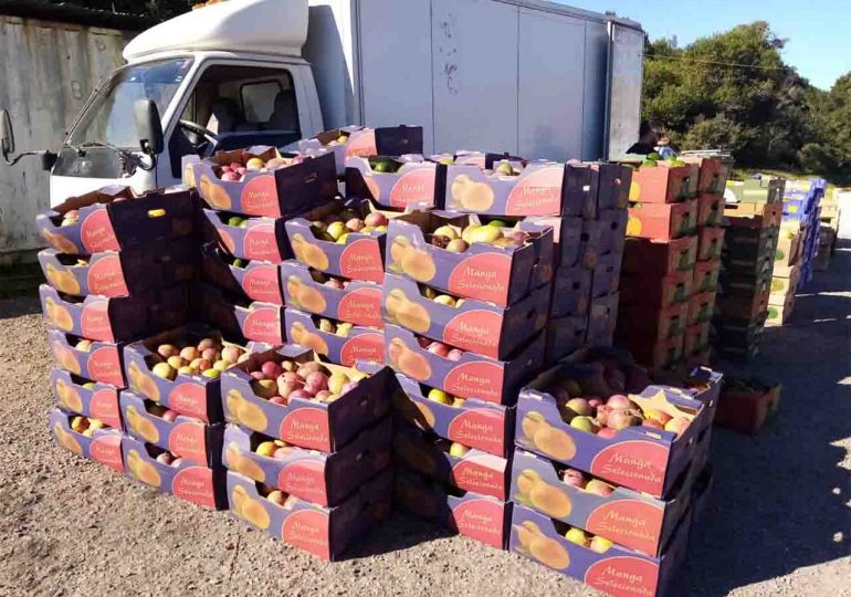 Policía Caminera incautó contrabando de frutas y verduras de origen Brasileño