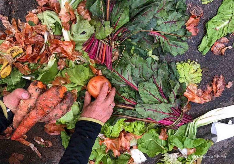 El Parlamento uruguayo y la FAO colaboran para reducir las pérdidas y desperdicios de alimentos