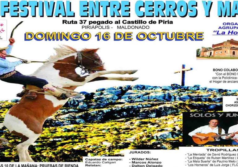 7º Festival entre Cerros y Mar