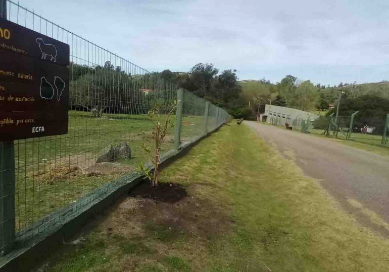 Abrieron por la fuerza una jaula de gatos silvestres en la ECFA, y estos habrían fugado