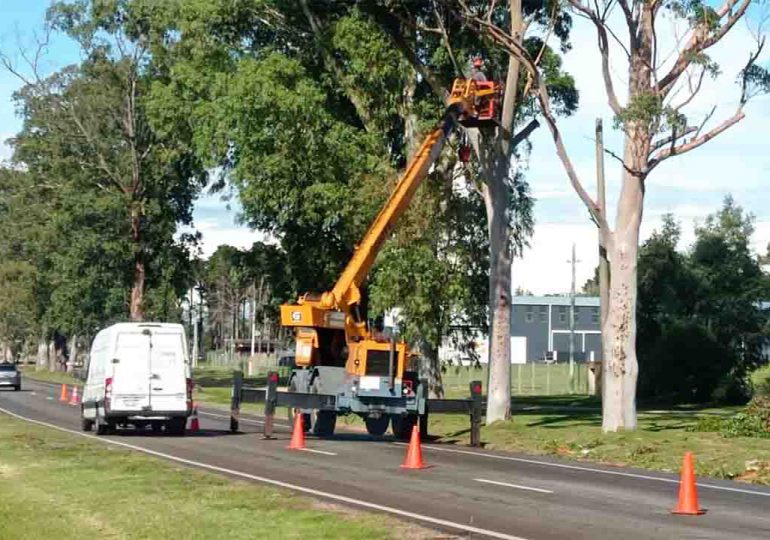 Continúan los trabajos de mantenimiento en faja lateral de ruta 39