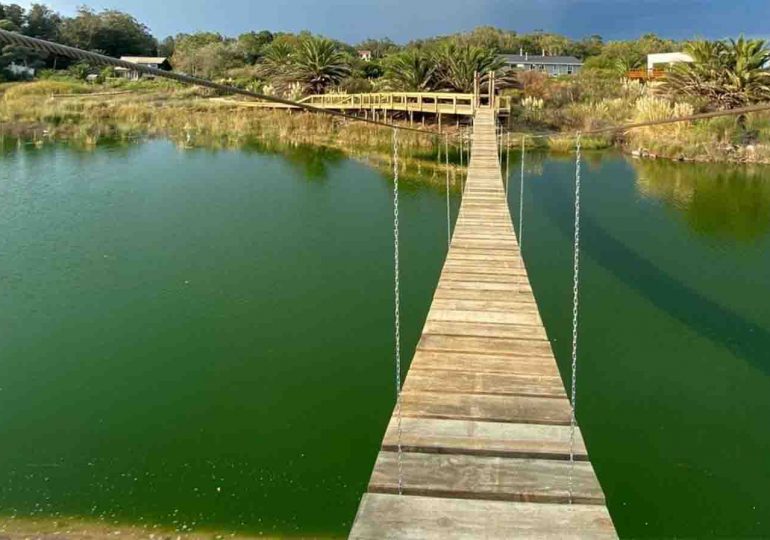 Ministerio de Ambiente Intima a OSE Pan de Azúcar a corregir vertidos en el Arroyo Tarariras por contaminación de cianobacterias