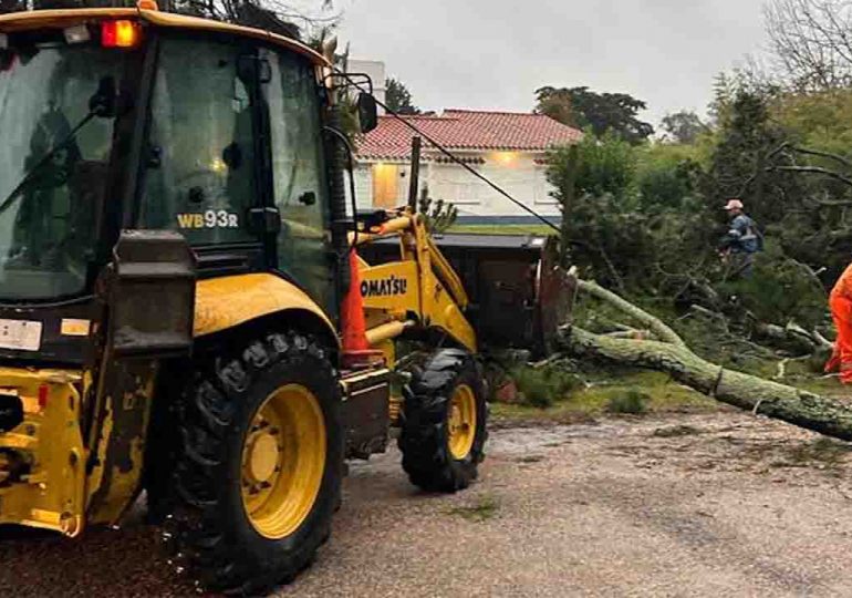 Direcciones de Obras y Gestión Ambiental realizan intervenciones ante evento meteorológico adverso