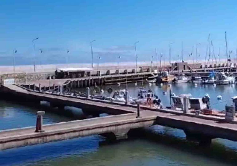 Vallaron los puertos de Piriápolis y Punta del Este | autoridades piden evitar contacto con lobos marinos por gripe aviar