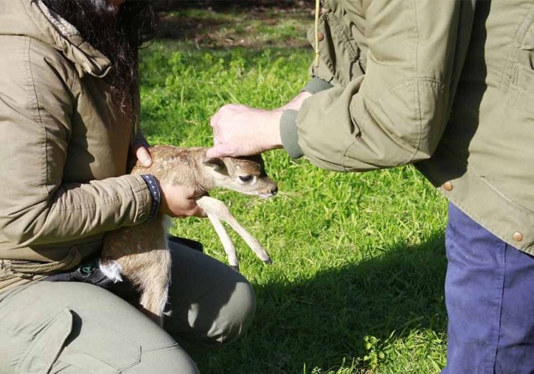 Estación de Cría del Cerro Pan de Azúcar recibe visita de expertos en Biología