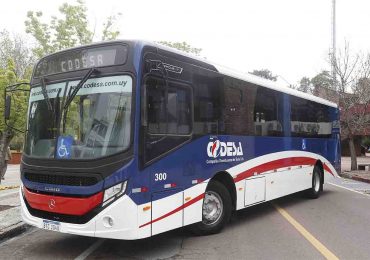 Líneas 5 y 14 modifican recorridos en el Balneario Buenos Aires