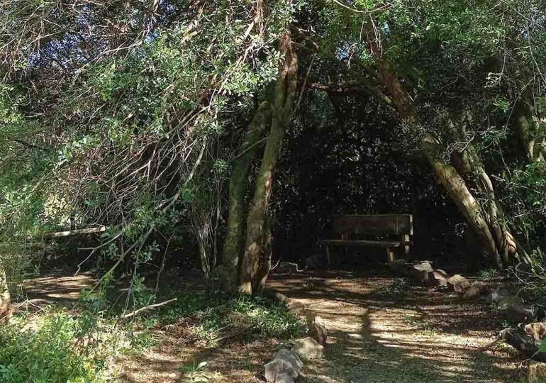 Sendero Nativo de la ECFA está cerrado por mantenimiento