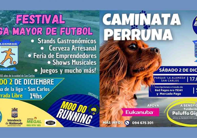 Festival de la Liga Mayor de Fútbol contará con caminata perruna a beneficio