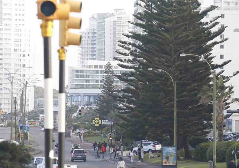 Punta del Este: encenderán baterías de semáforos de cara a la temporada estival