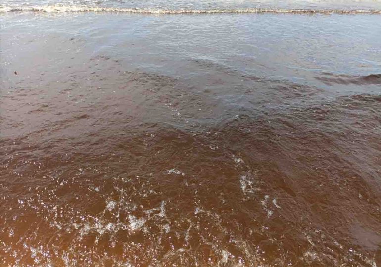 IDM detecta la aparición de organismos vivos que son los que provocan marea roja en algunas playas de la faja costera