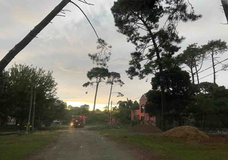 Temporal de lluvia y viento | cuatro árboles caídos en el Barrio Country de Piriápolis