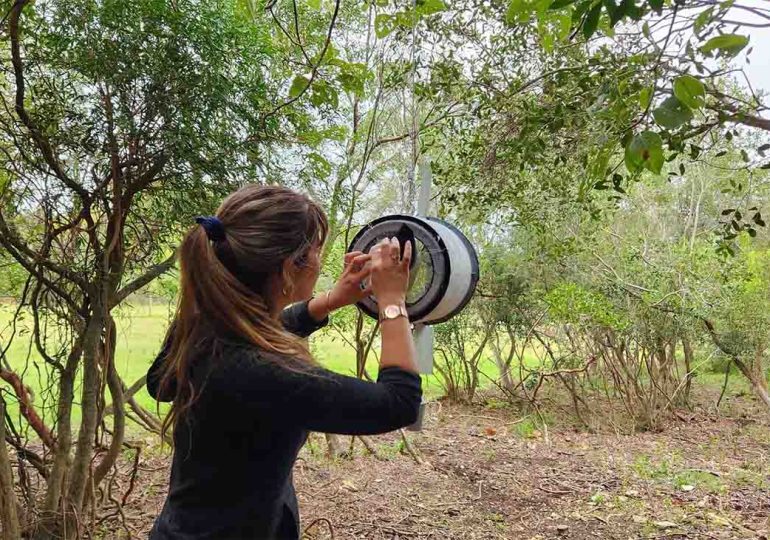 Comenzó proyecto de investigación en la ECFA sobre miasis cutáneas en mamíferos silvestres