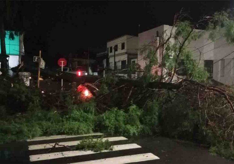 Turbonada azota Florida con vientos de 113 kilómetros en la hora