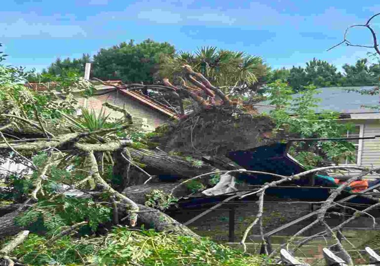Fuerte temporal azota Maldonado: árboles caídos y caseta volada en Manantiales