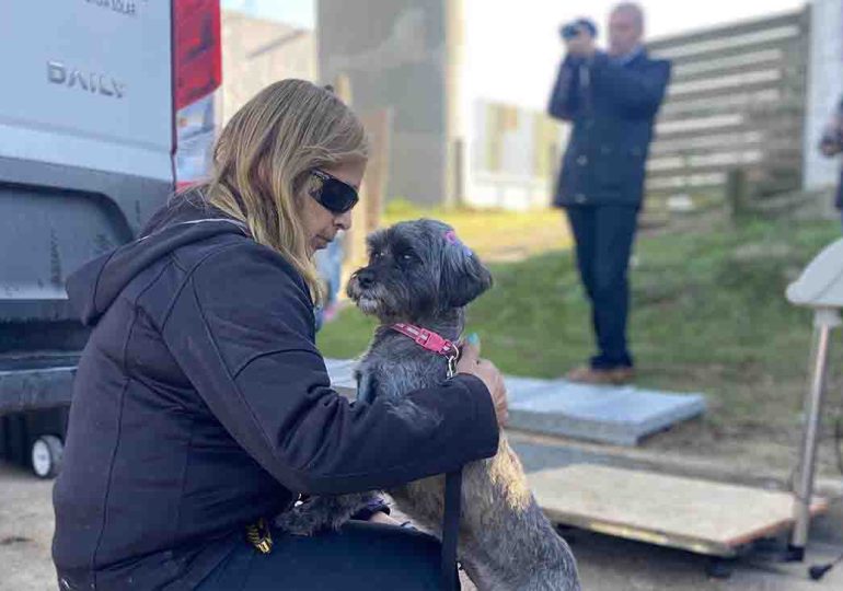 Castraciones caninas | próximas fechas serán en Hipódromo, La Capuera y San Carlos