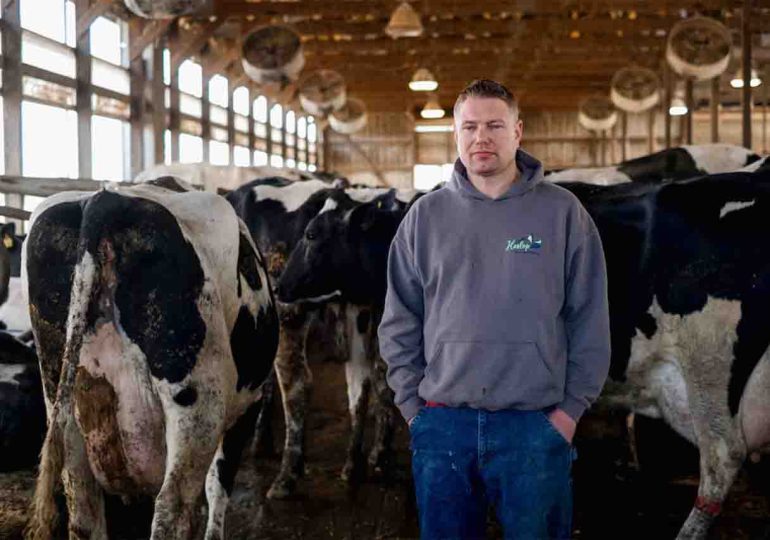 La gripe aviar obliga a los productores de leche de EE. UU. a prohibir las visitas y talar árboles