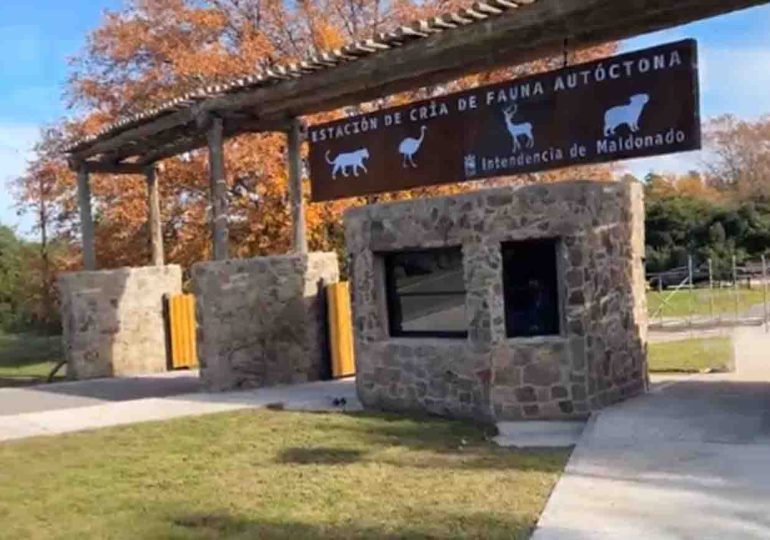 Mejoras en la accesibilidad y nuevas instalaciones en la Estación de Cría del Cerro Pan de Azúcar