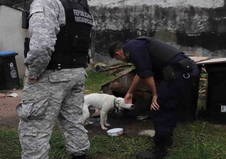 INBA rescató varios perros tras allanar la vivienda en donde sus dueños los habían abandonado