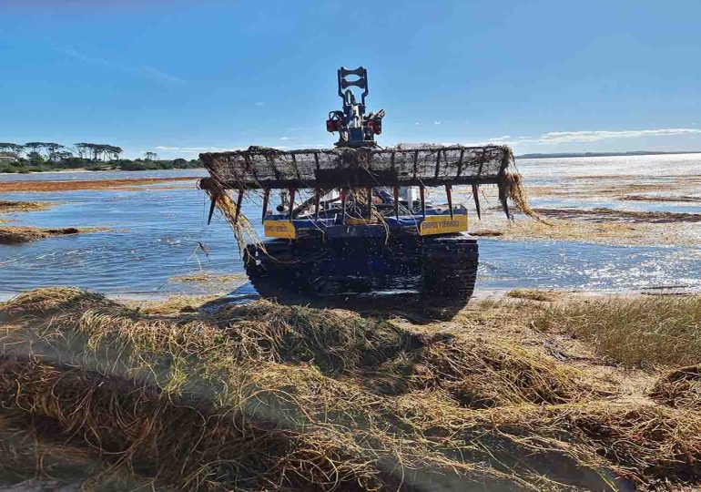 Proyecto demostrativo de cosecha de plantas acuáticas es desarrollado en Laguna Garzón