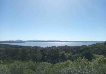 Senderista encontró un cráneo y un posible fémur en el Arboretum Lussich