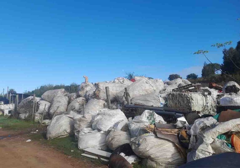 INBA preocupado por situación del vertedero en Cerro Largo donde hay 200 animales sin control