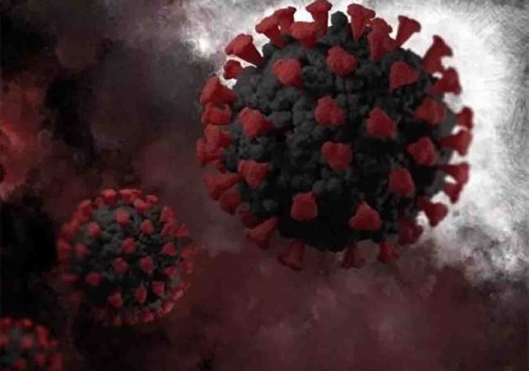 Salud Pública analiza posibles casos de Coronavirus en Piriápolis