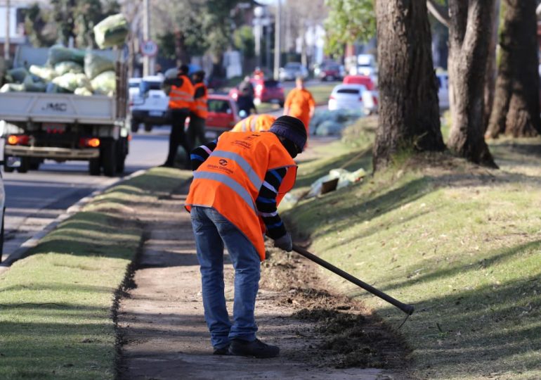 Jornales Solidarios: comenzaron las inscripciones para este programa social impulsado por Maldonado