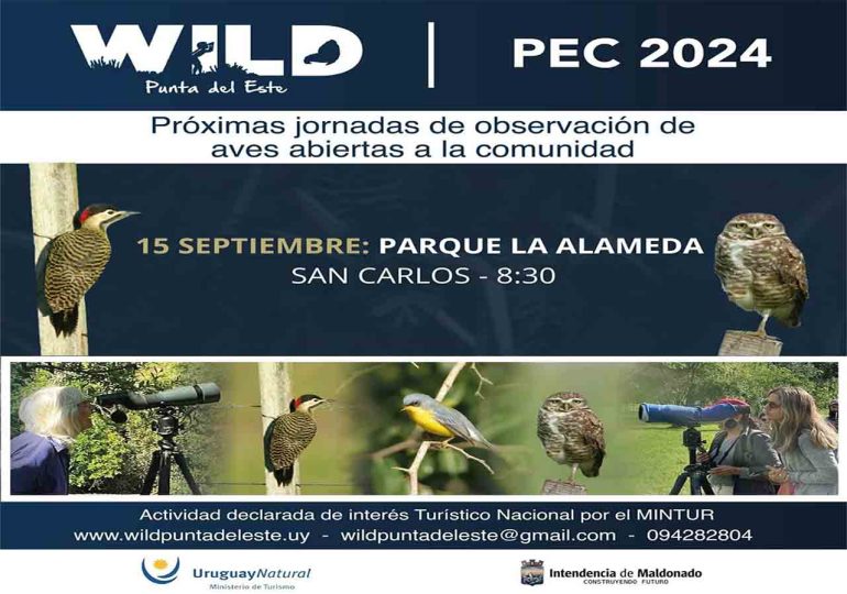 Realizarán jornada de observación de aves abierta a la comunidad