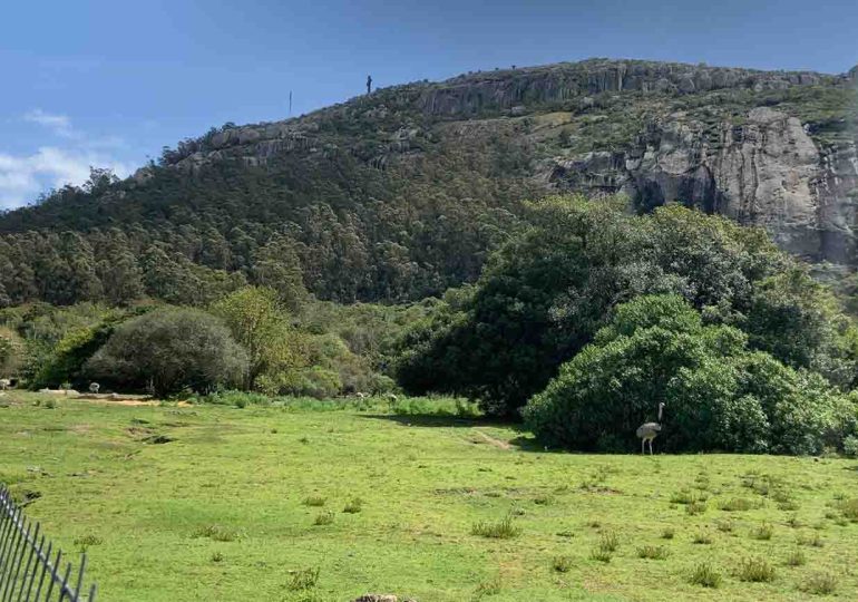 Rescate en el Cerro Pan de Azúcar