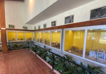 Inauguran Centro de Exposiciones en ECFA para mostrar la Fauna Autóctona de Uruguay