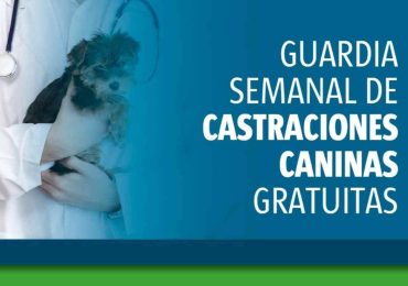 IDM implementará una guardia semanal de castraciones caninas gratuitas