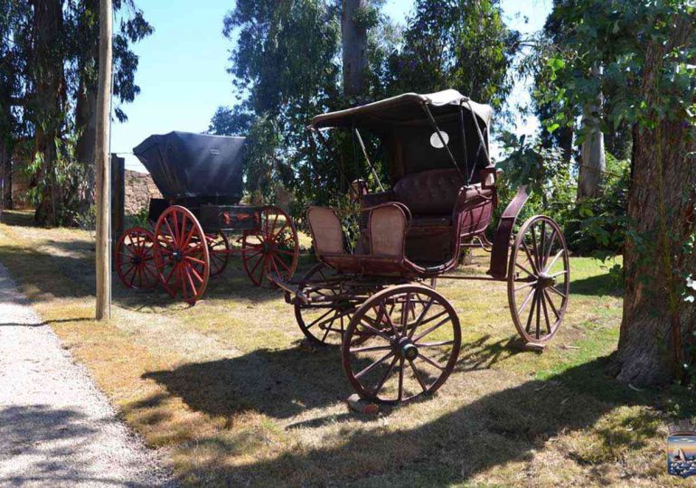 Homenaje a Alfredo Zitarrosa y música tropical componen la oferta cultural en Pueblo Gaucho