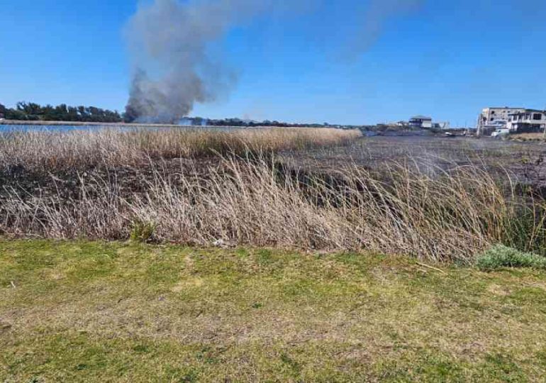 CECOED fortaleció primera línea de acción en detección y combate de incendios forestales