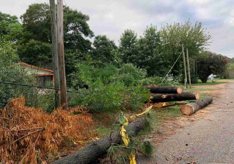 Árboles caídos y cortes de energía por temporal en Piriápolis