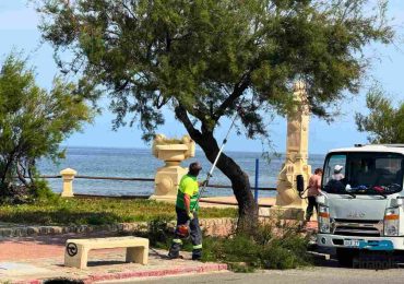 Trabajos de limpieza y poda en la Rambla de Piriápolis