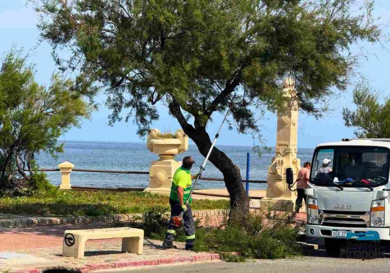 Trabajos de limpieza y poda en la Rambla de Piriápolis