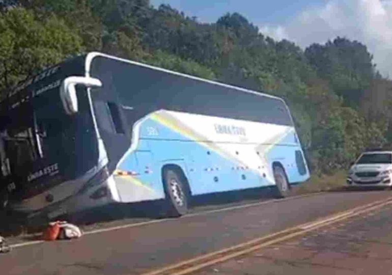 Despiste de ómnibus de Copsa en camino Los Arrayanes: un pasajero lesionado leve