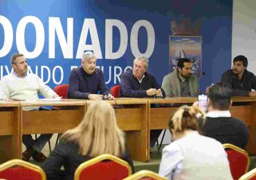 Picudo rojo: fuerte inversión de la IDM, reclamo de fondos nacionales y prohibición del traslado de ejemplares