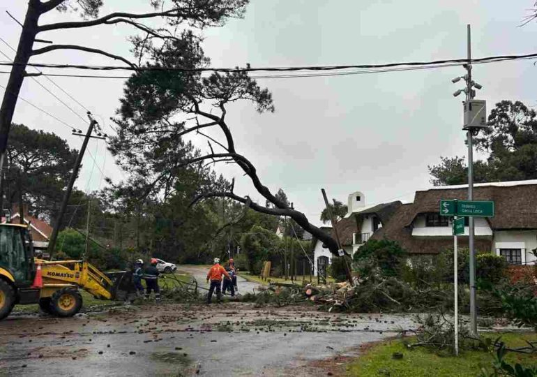 Numerosos incidentes por temporal en Maldonado, sin personas lesionadas