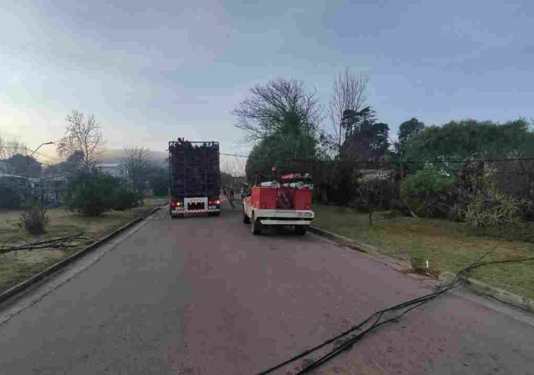 Municipio de Piriápolis reclama por daños tras accidente con camión cargado con leña