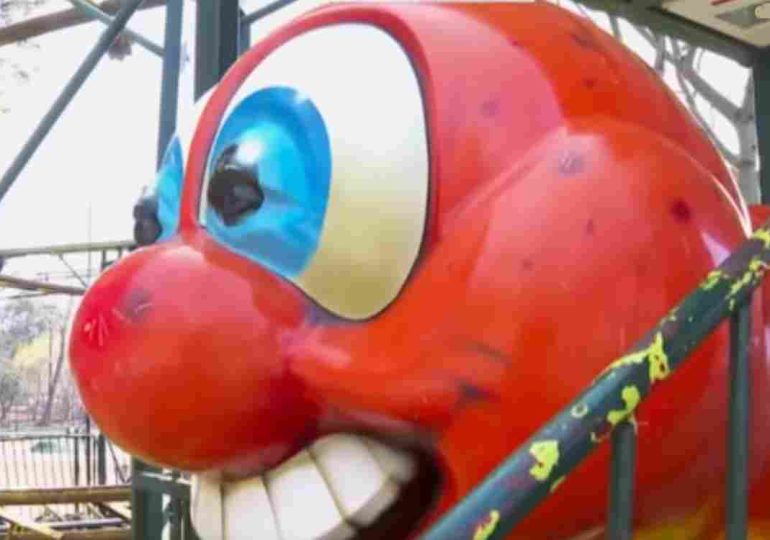 Murió el niño de dos años que cayó del Gusanito Manzana