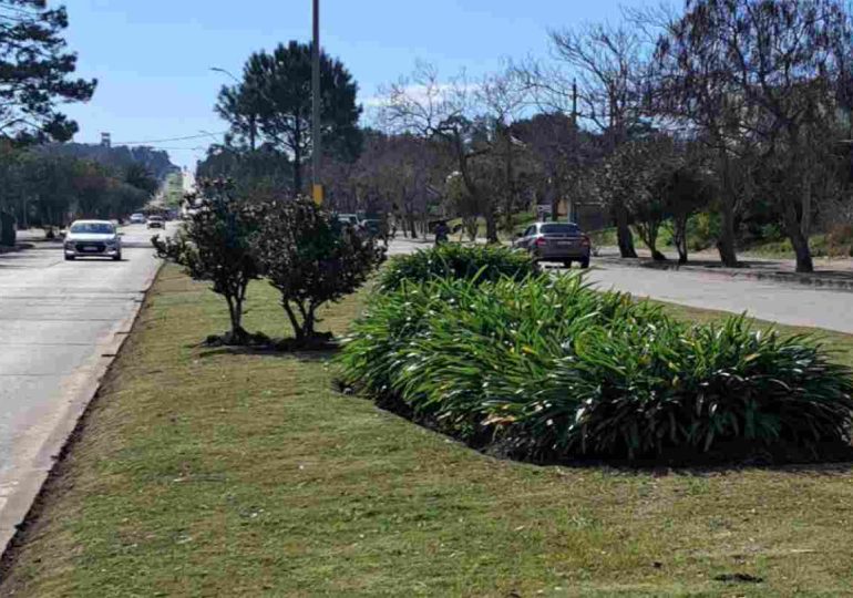 Convocan para mantenimiento de espacios públicos en Piriápolis