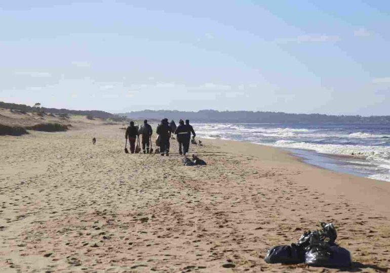 Análisis descartan que crudo de ANCAP coincida con la traza de hidrocarburo hallada en playas de Maldonado