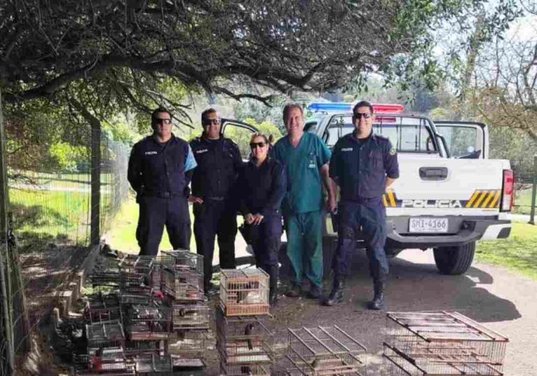 Fueron liberadas 48 aves nativas en la ECFA