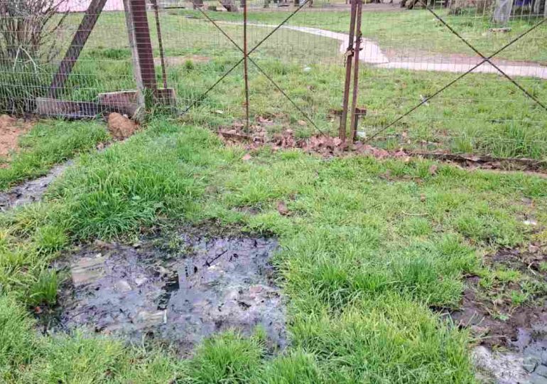 Denuncian desborde de pozo negro en Escuela 61 de Pan de Azúcar