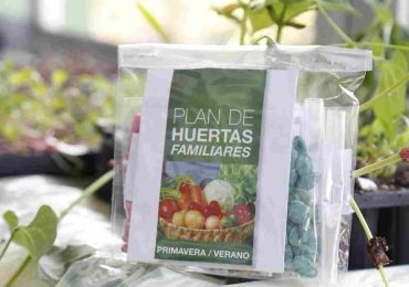 Comenzó la entrega de semillas del Plan de Huertas Familiares
