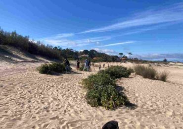Medio Ambiente: IDM promueve acciones para proteger el ecosistema costero