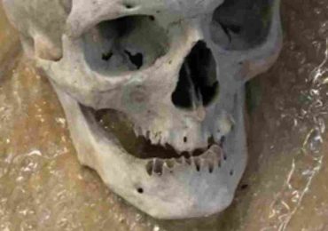 Hallan cráneo humano en una garita de ómnibus en Maldonado